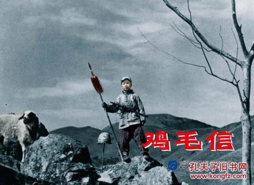 国内多少人有acca证书